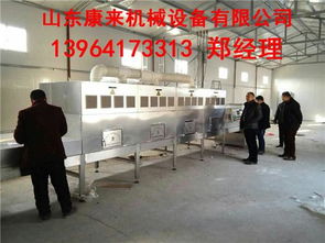 微波葡萄干殺菌設(shè)備 技術(shù)原理、優(yōu)勢與專業(yè)服務(wù)解析