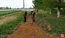 岐山今春栽植苗木256萬株，助力生態(tài)建設(shè)與產(chǎn)業(yè)發(fā)展